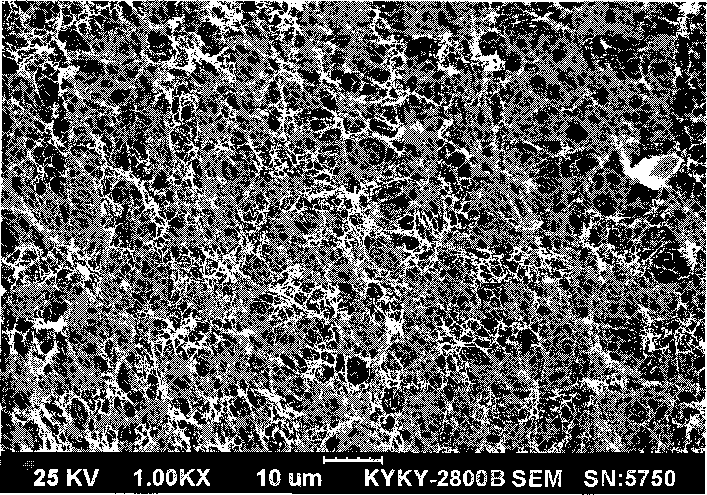 Porous integral medium, preparation and use thereof