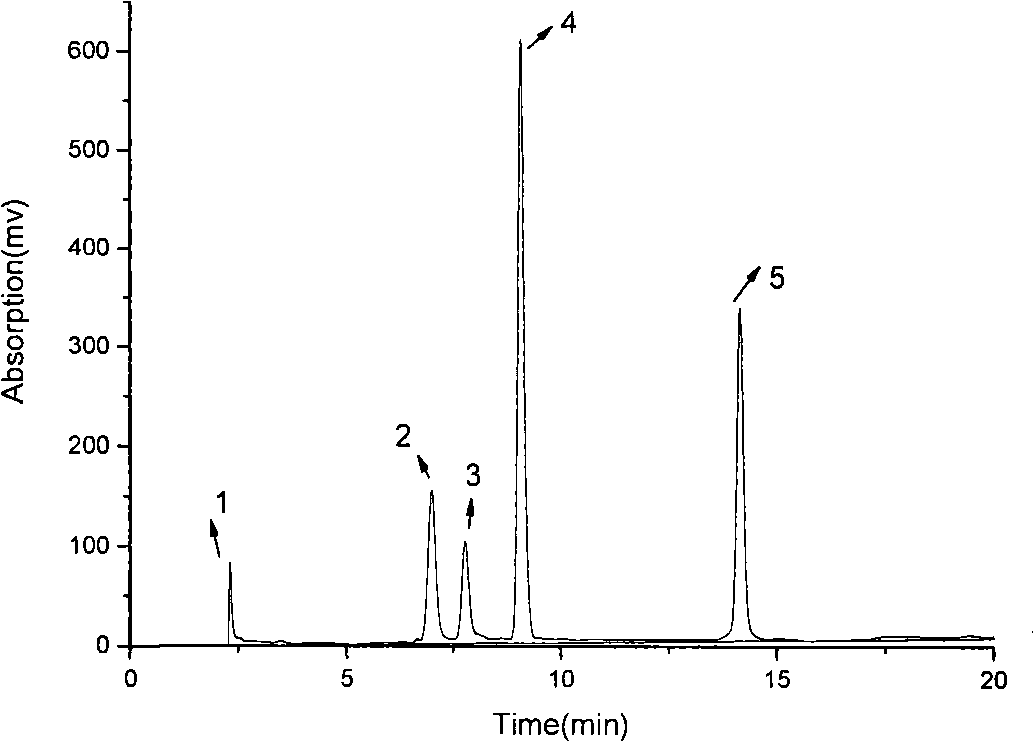 Porous integral medium, preparation and use thereof