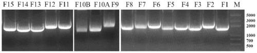 System, method and application for saving swine enteric alphacoronavirus