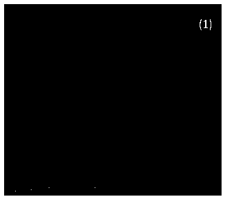 Preparation method of cellulose nano-fiber/polylactic acid composite membrane