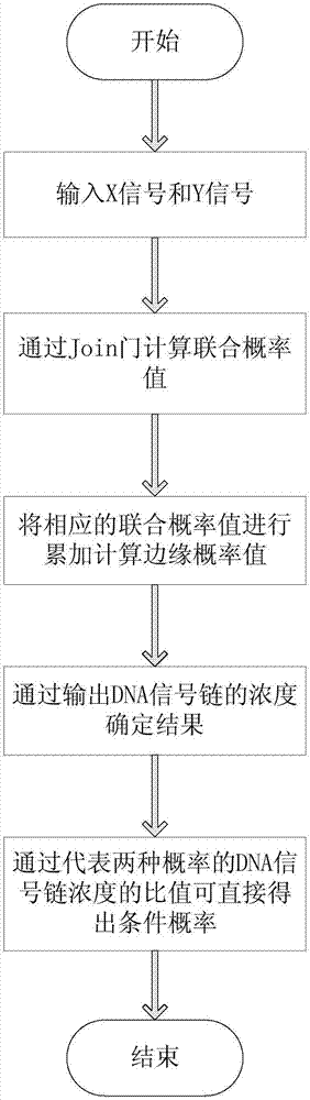 Construction method of two-dimensional probability distribution model based on strand displacement