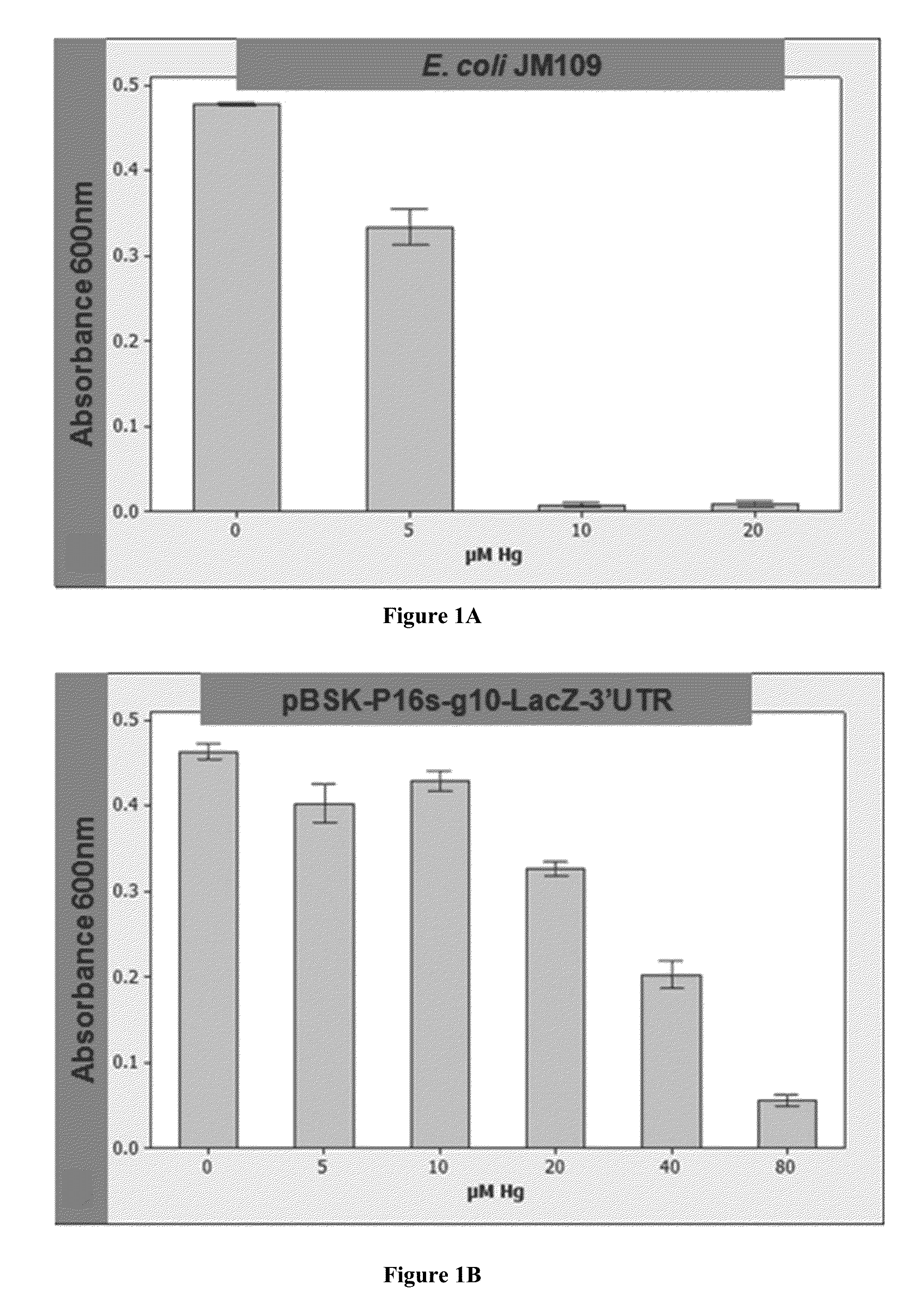 Heavy metal remediation system