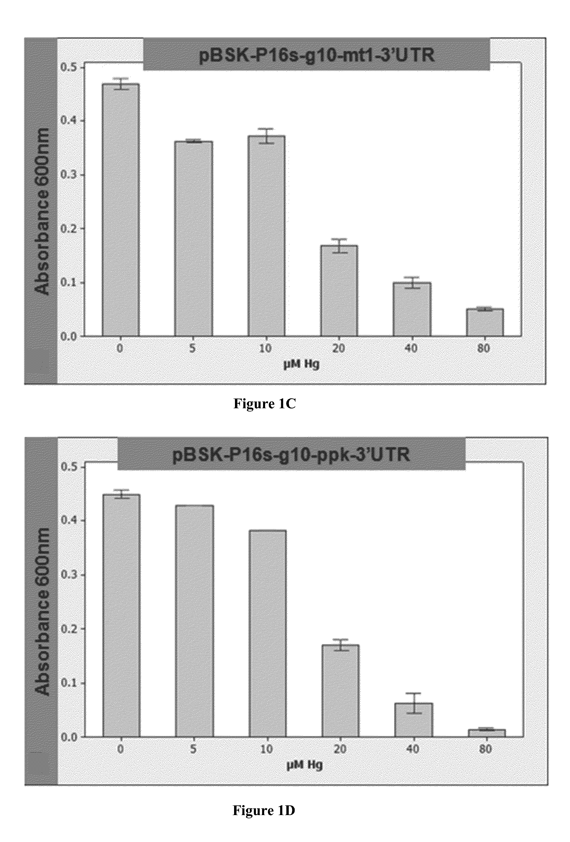 Heavy metal remediation system