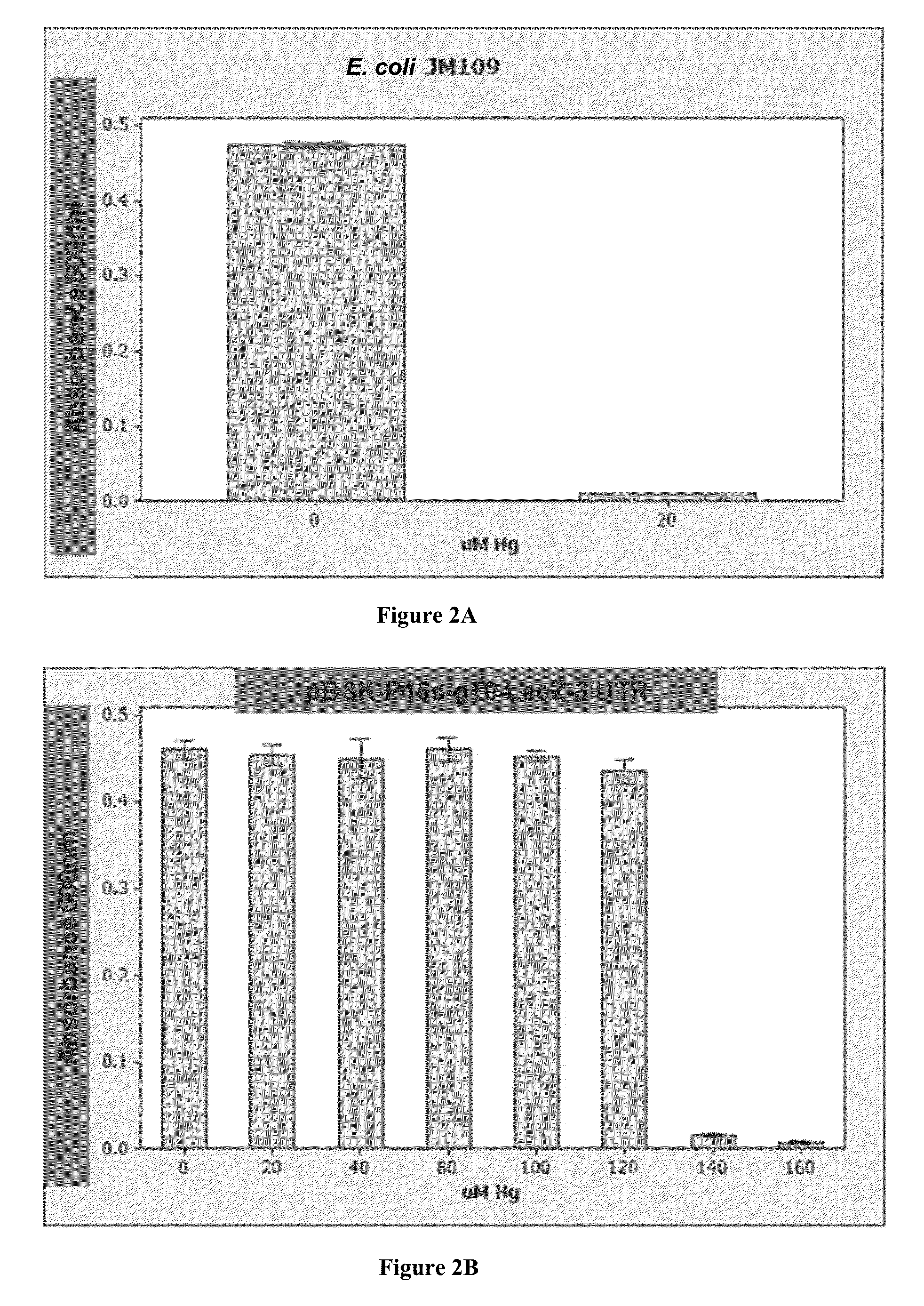 Heavy metal remediation system