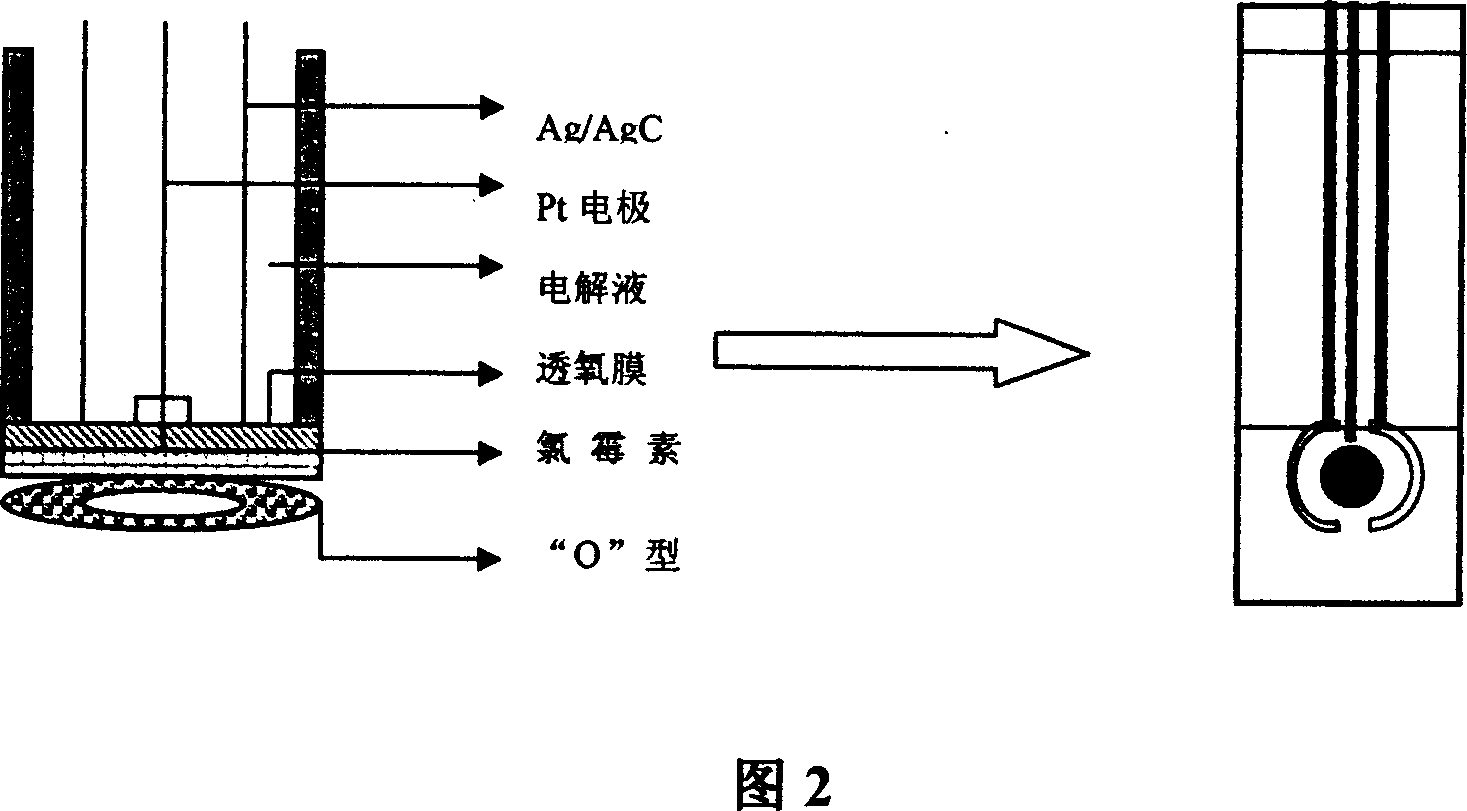 Method for making immune sensing electrode for detection of residual chloromycetin