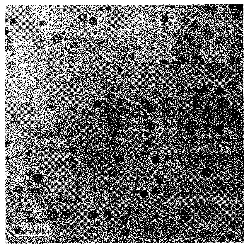 Preparation method of CuS nanoparticles, product and application thereof