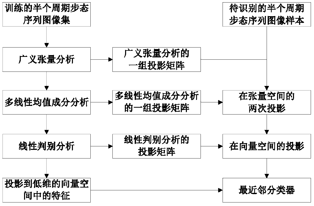 Gait recognition method based on multi-linear mean component analysis