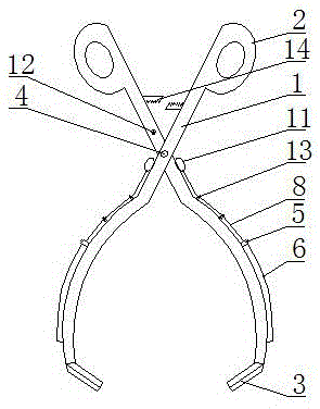 Gynecological operation pelvic tumor extraction pincer