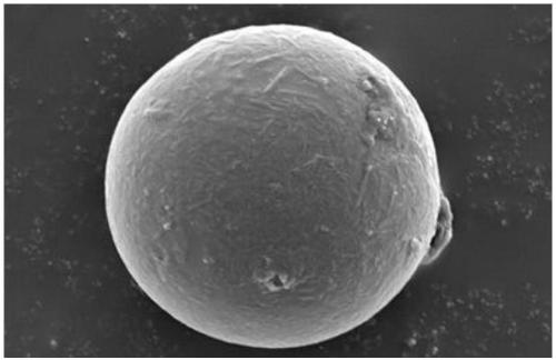 Preparation method of white and polysaccharide