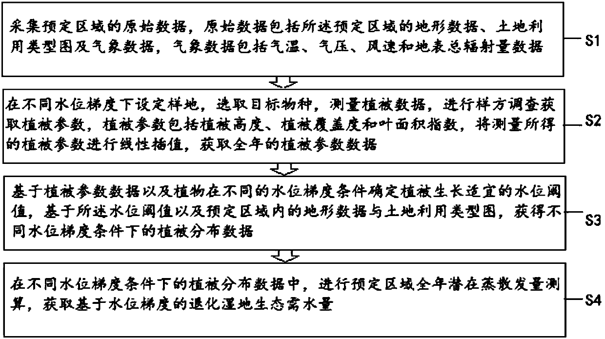 Method for measuring ecological water demand of degraded wetland based on water level gradients