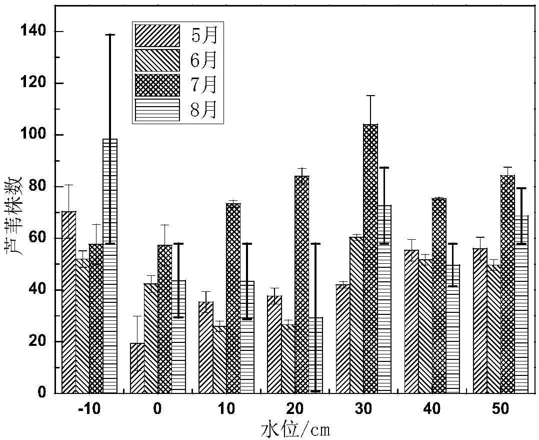 Method for measuring ecological water demand of degraded wetland based on water level gradients