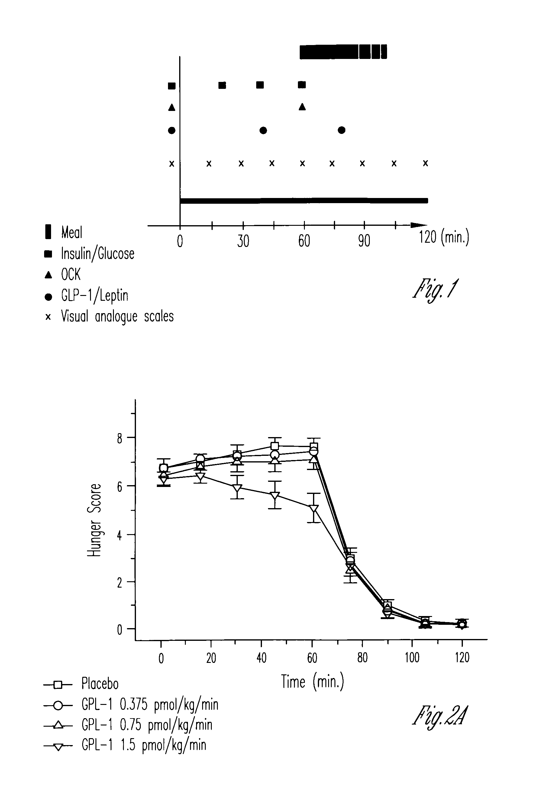 Human appetite control by glucagon-like peptide receptor binding compounds