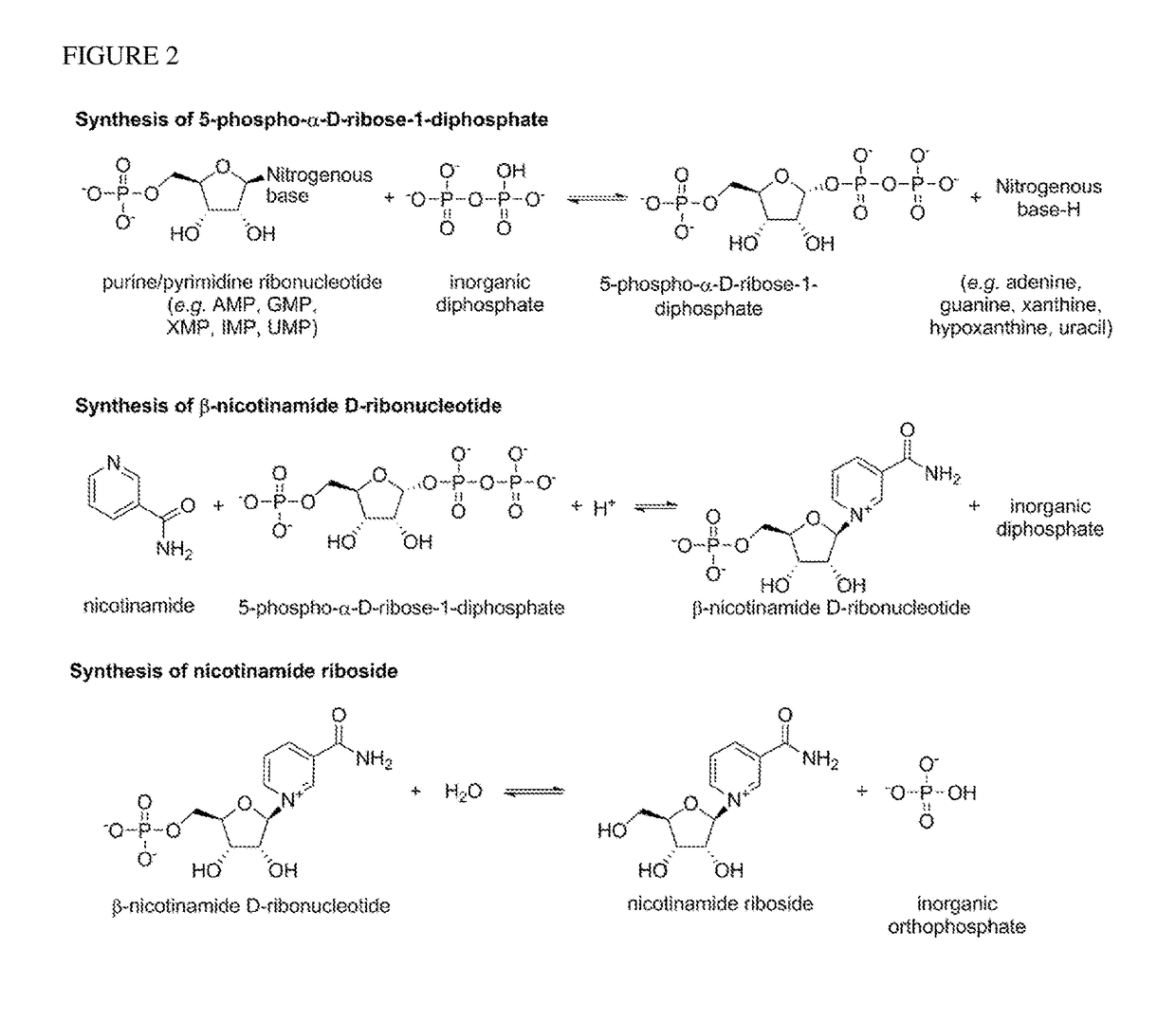 Method For Preparing Nicotinamide Riboside