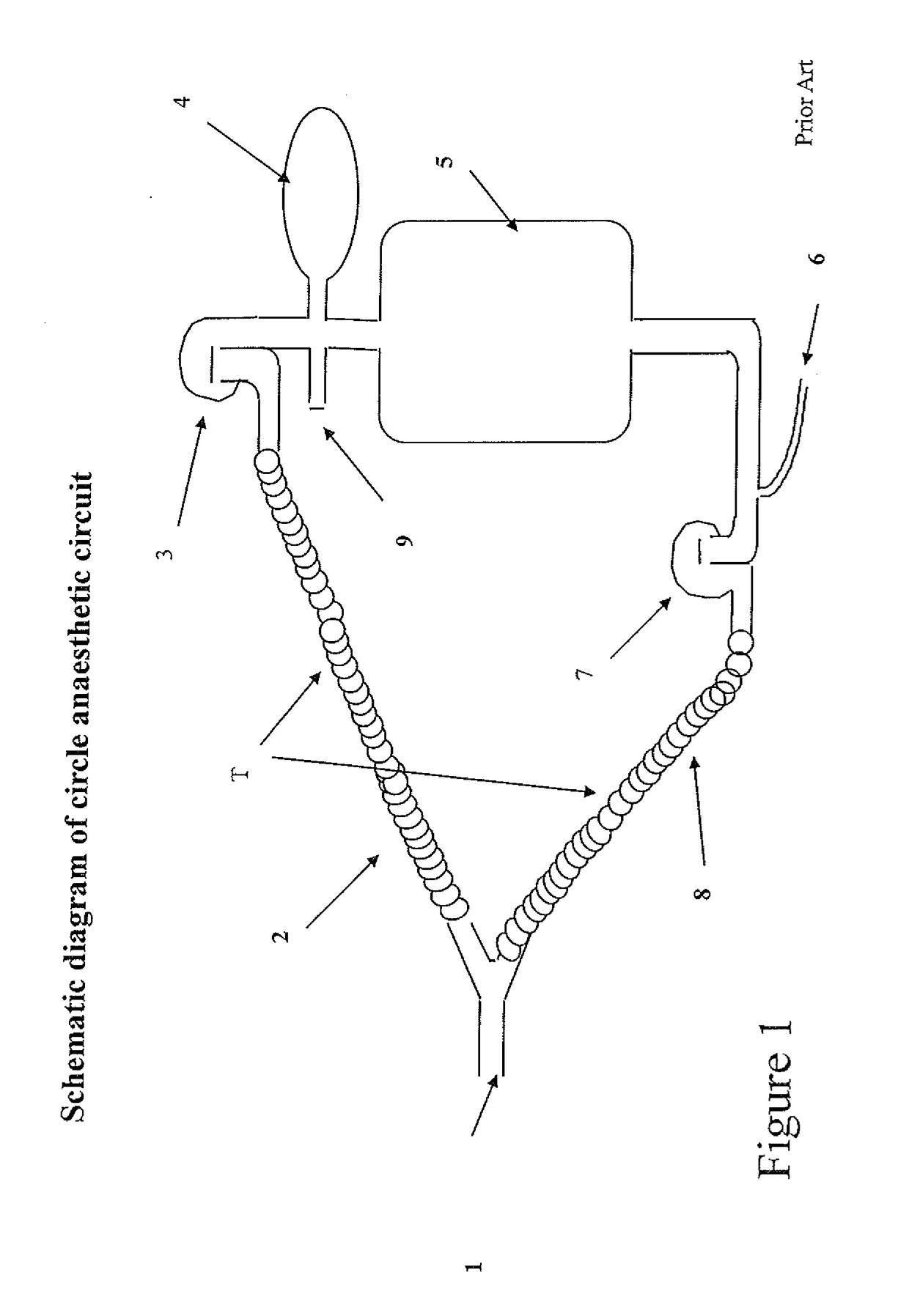 Breathing circuits to facilitate the measurement of cardiac output during controlled and spontaneous ventilation