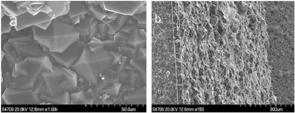 Preparation method for metal organic framework ZIF (zeolitic imidazolate framework)-9 membrane for gas separation