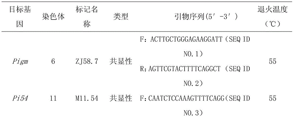 A method for cultivating broad-spectrum, persistent panicle blast-resistant rice breeding materials