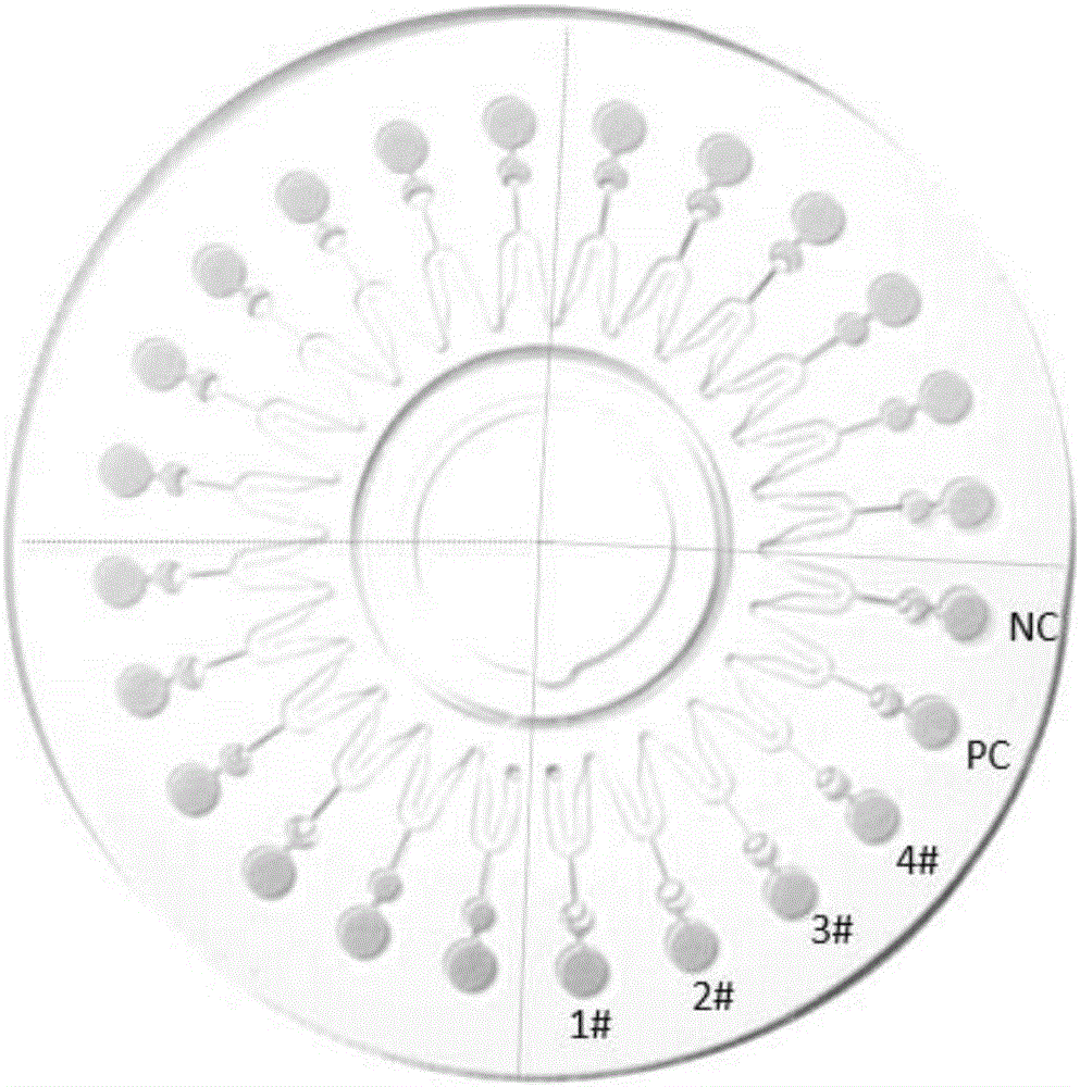 Kit used for detecting respiratory viruses and application thereof