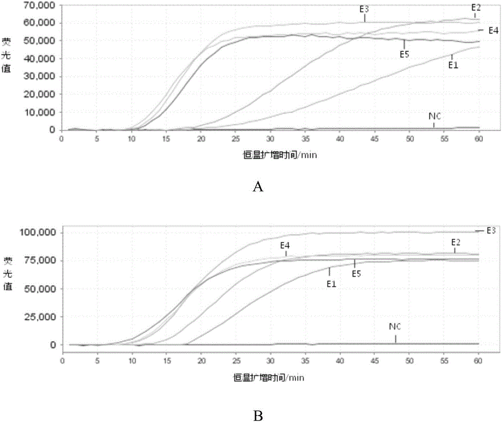 Kit used for detecting respiratory viruses and application thereof