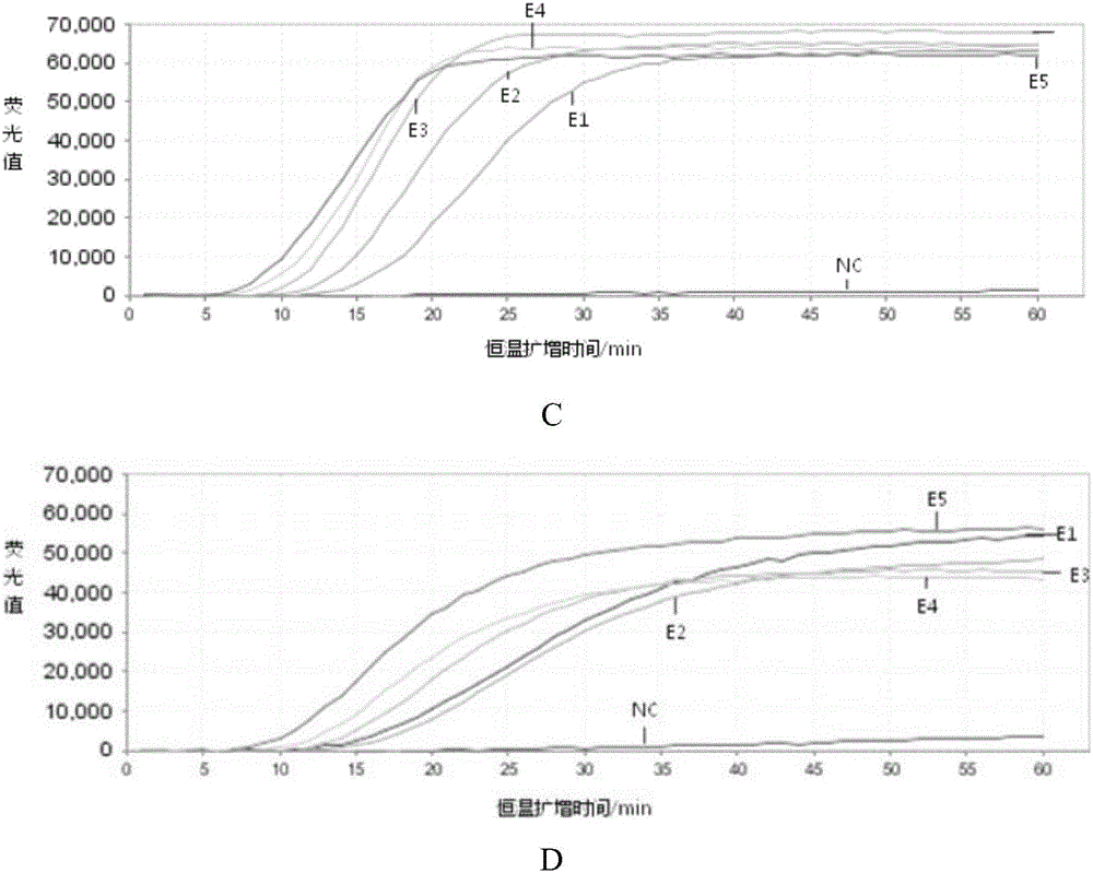 Kit used for detecting respiratory viruses and application thereof