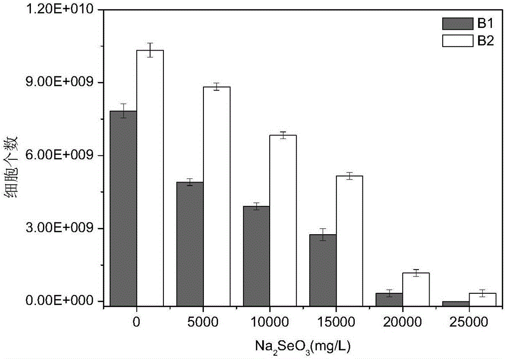 Method for studying reducing action of selenium-highly-resistant bacteria to selenite