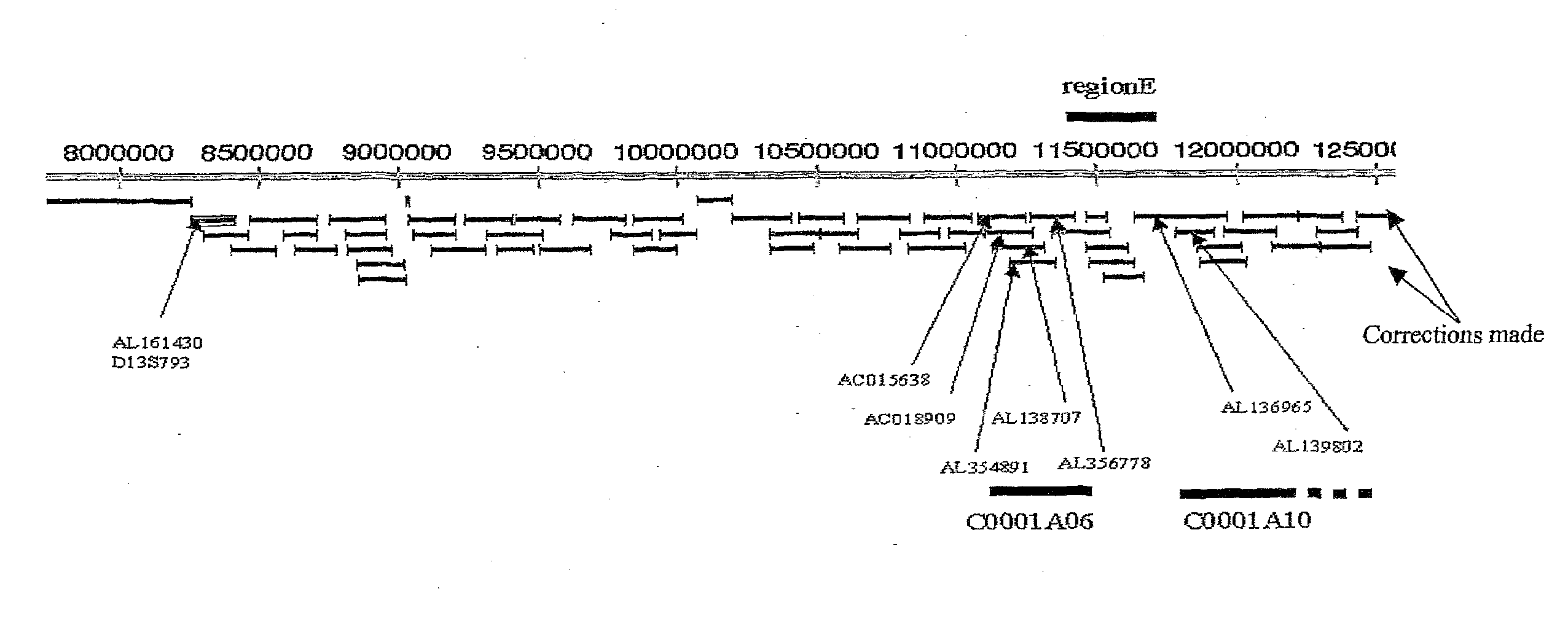 Schizophrenia-related voltage-gated ion channel gene and protein