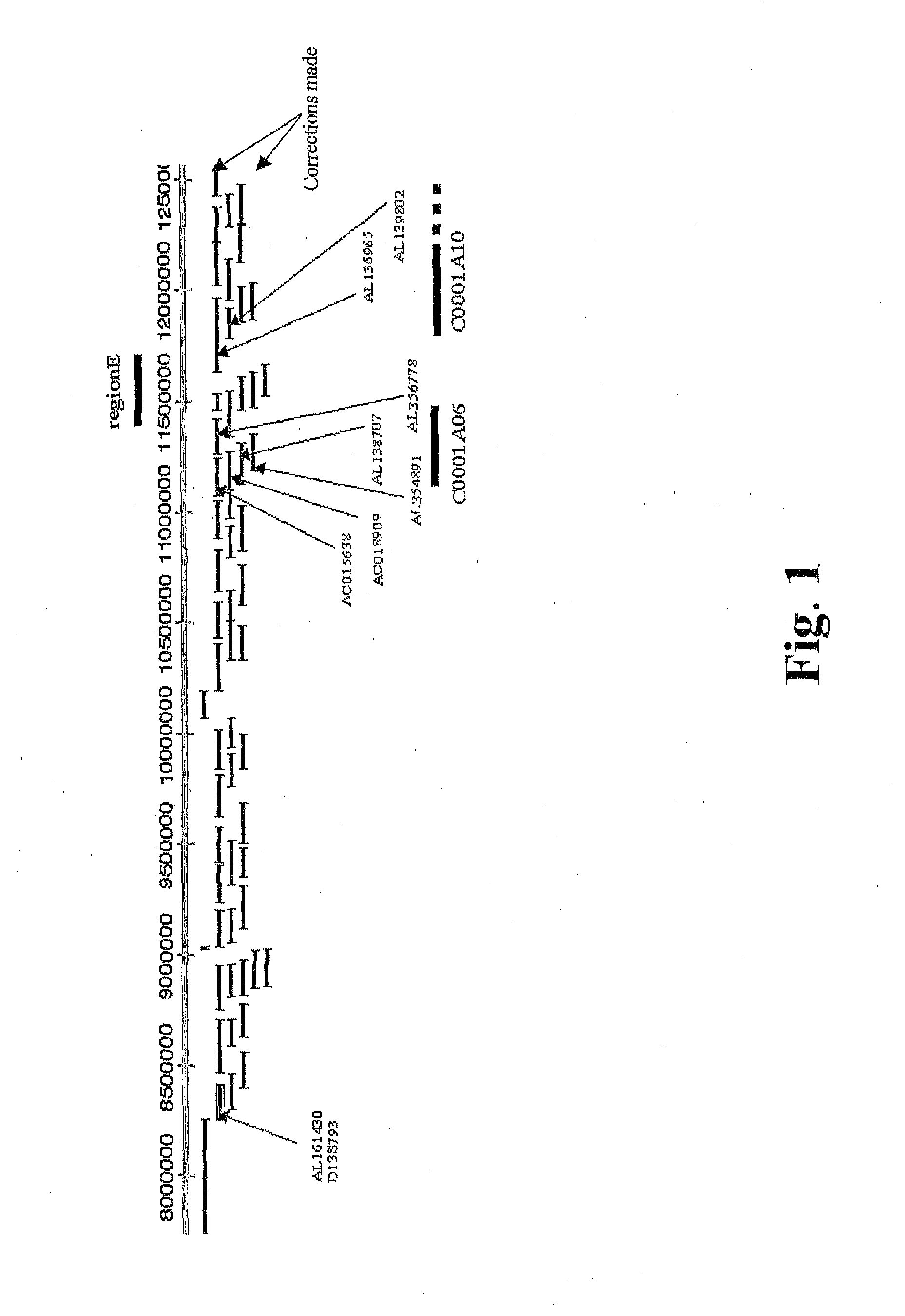 Schizophrenia-related voltage-gated ion channel gene and protein