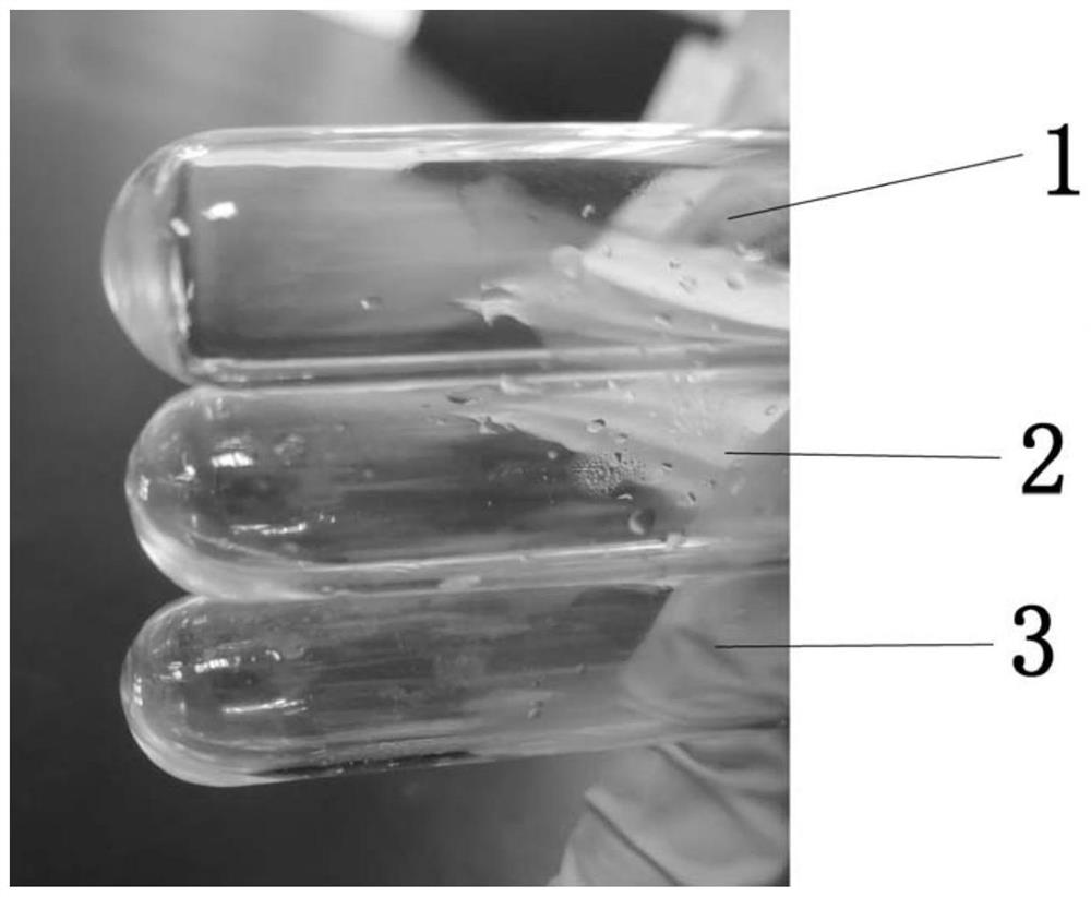 A kind of prothrombin activator and rapid hemostatic material containing prothrombin activator