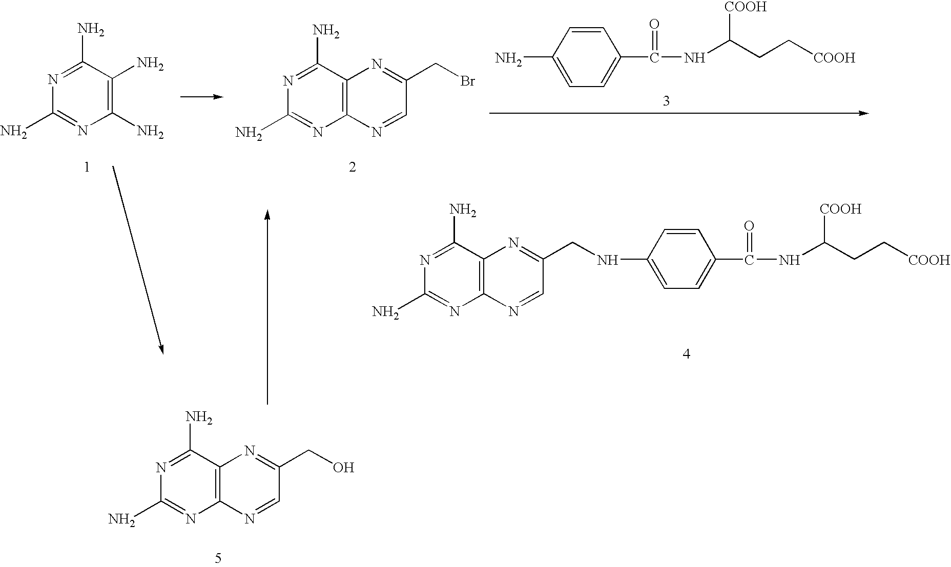 Compositions and methods employing aminopterin