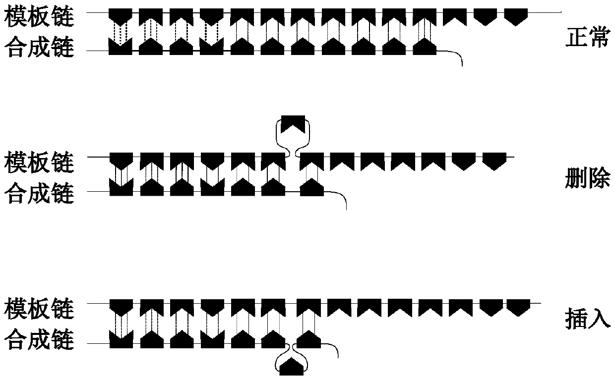 Microsatellite instability detecting system and method based on genome sequencing