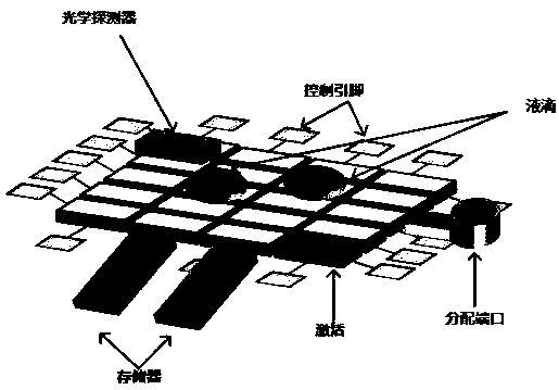 Hamming distance-based digital microfluidic biochip field-level hardware Trojan horse detection method