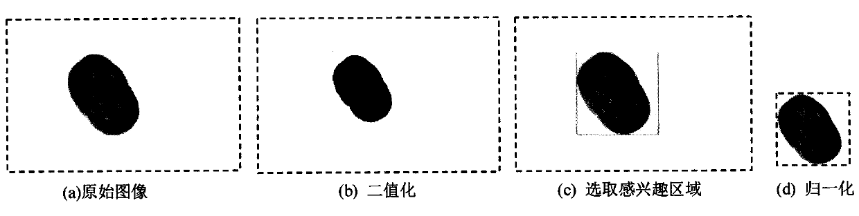 Red date appearance quality classification method and device, apparatus and storage medium