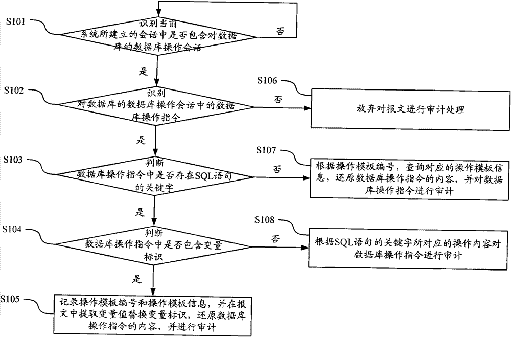 Database auditing method and equipment