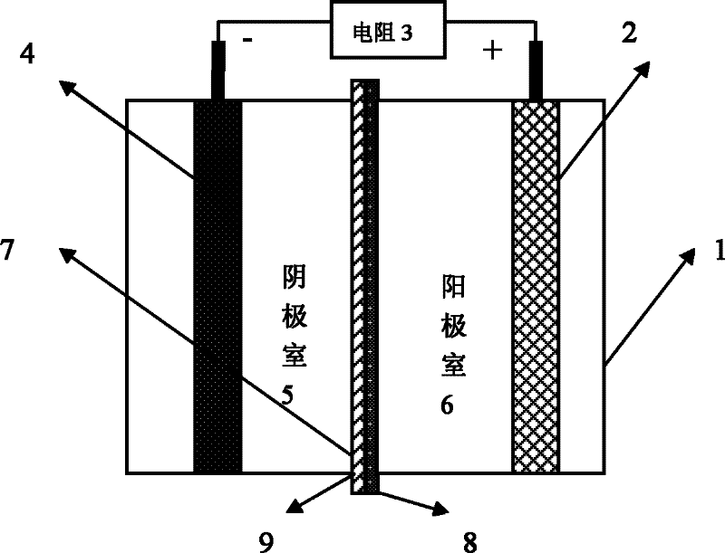 Microorganism electrochemical system capable of realizing electricity generation, hydrogen generation and sewage treatment simultaneously