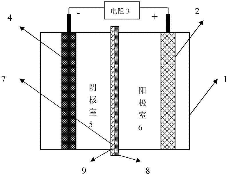 Microorganism electrochemical system capable of realizing electricity generation, hydrogen generation and sewage treatment simultaneously