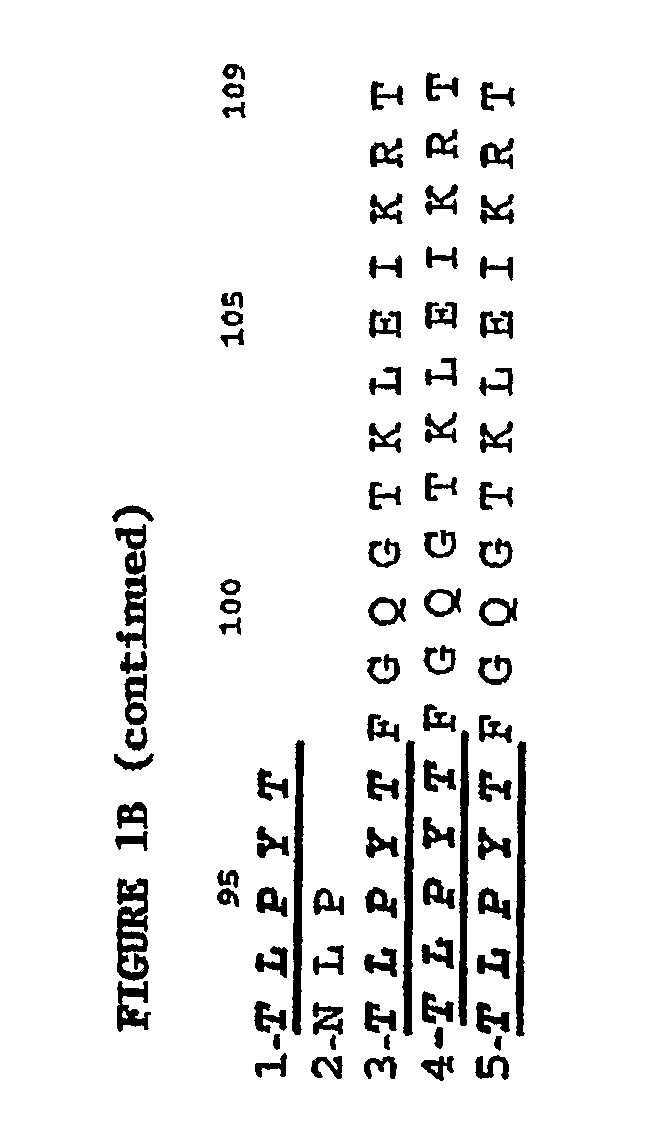 Methods for treating osteoarthritis pain by administering a nerve growth factor antagonist and compositions containing the same