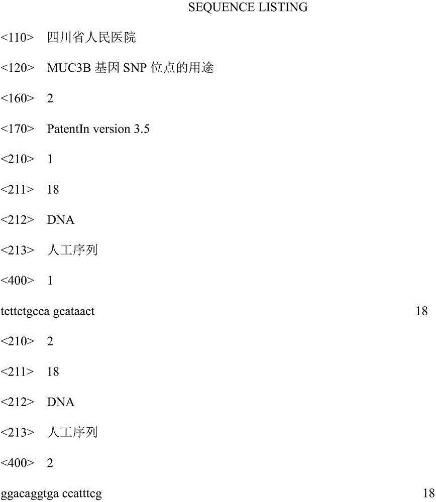 Use of SNP (single nucleotide polymorphism) locus of MUC3B gene