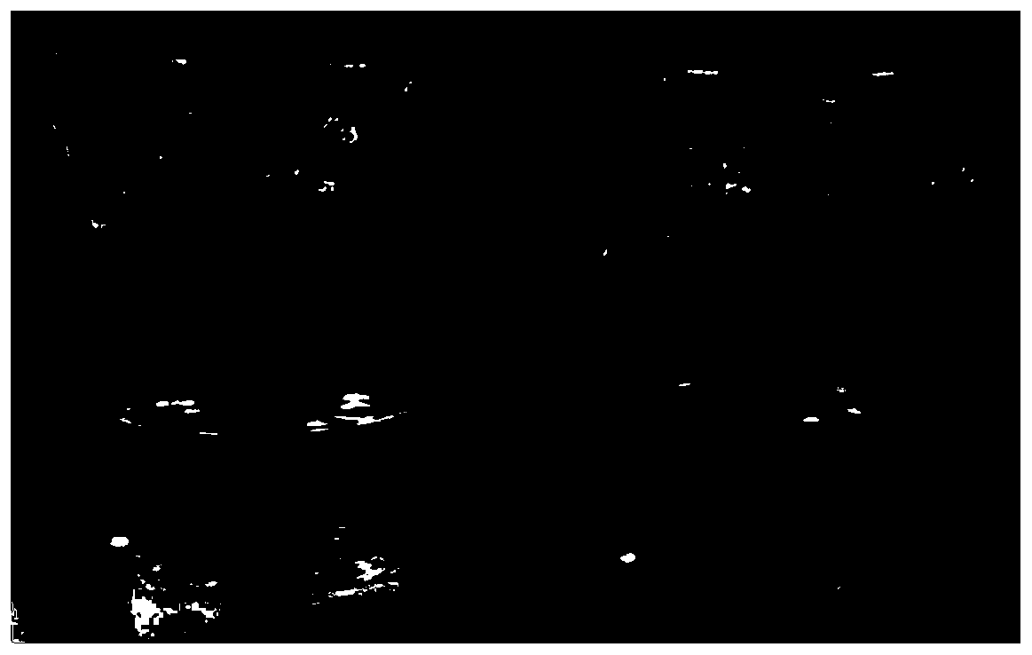 Low-cost flame-retardant polyimide heat insulation foam and preparation method and application thereof