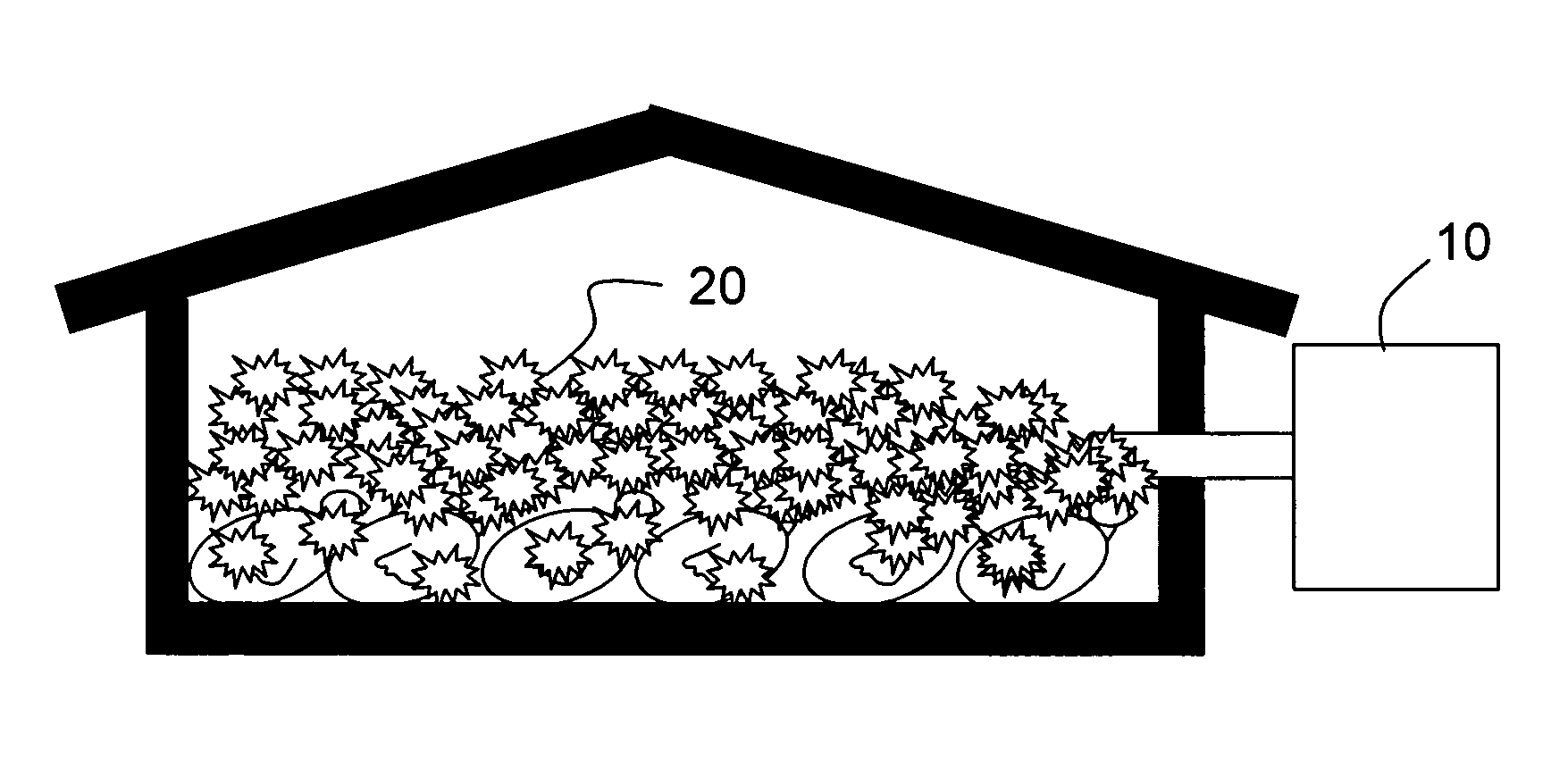 Methods and devices for depopulating avian species