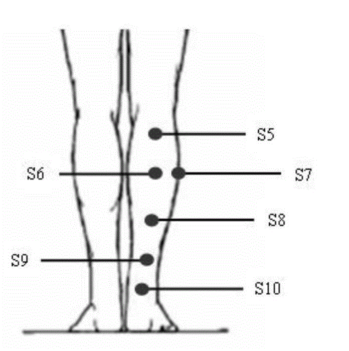 Method for forecasting clothing pressure distribution of human shanks