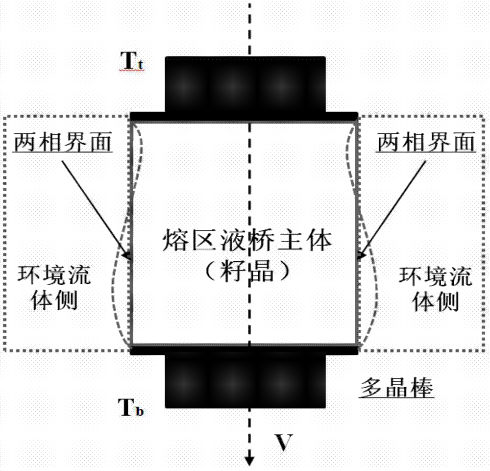 System and method for stimulating and predicting melt thermocapillary convection process