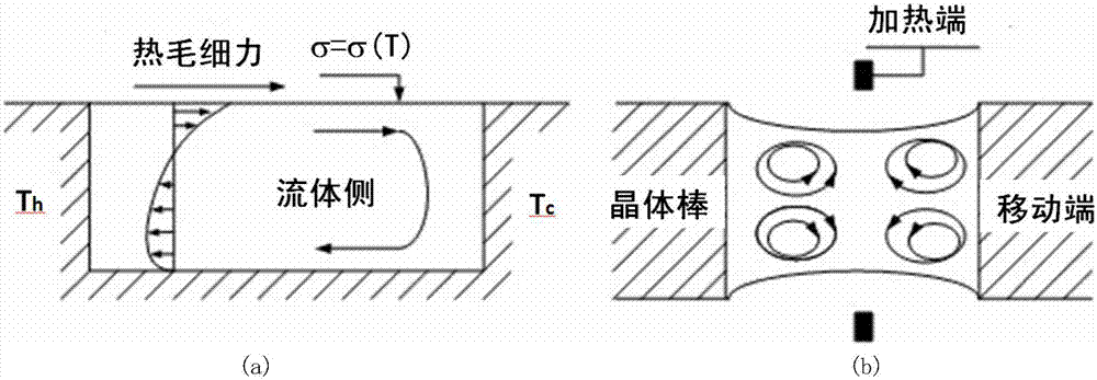 System and method for stimulating and predicting melt thermocapillary convection process