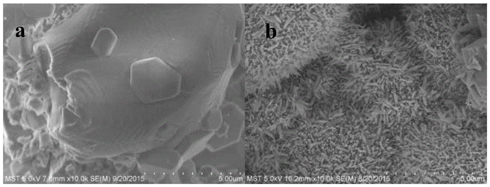 Preparation method of ceramic membrane loaded zinc oxide photocatalyst