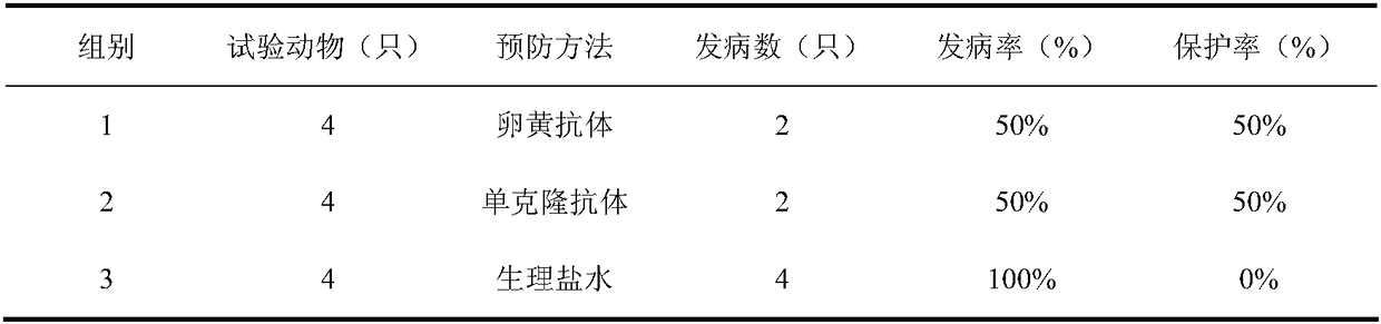 Specific egg-yolk antibody for preventing and treating feline distemper and preparation method of specific egg-yolk antibody