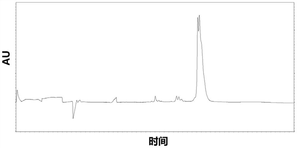 Capillary electrophoresis detection method for analyzing impurities of recombinant human prourokinase for injection and application of capillary electrophoresis detection method