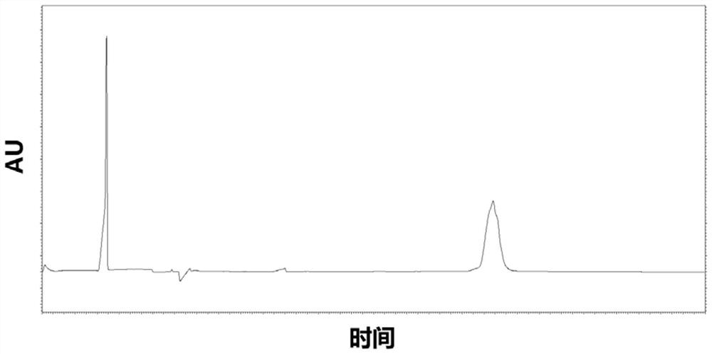 Capillary electrophoresis detection method for analyzing impurities of recombinant human prourokinase for injection and application of capillary electrophoresis detection method