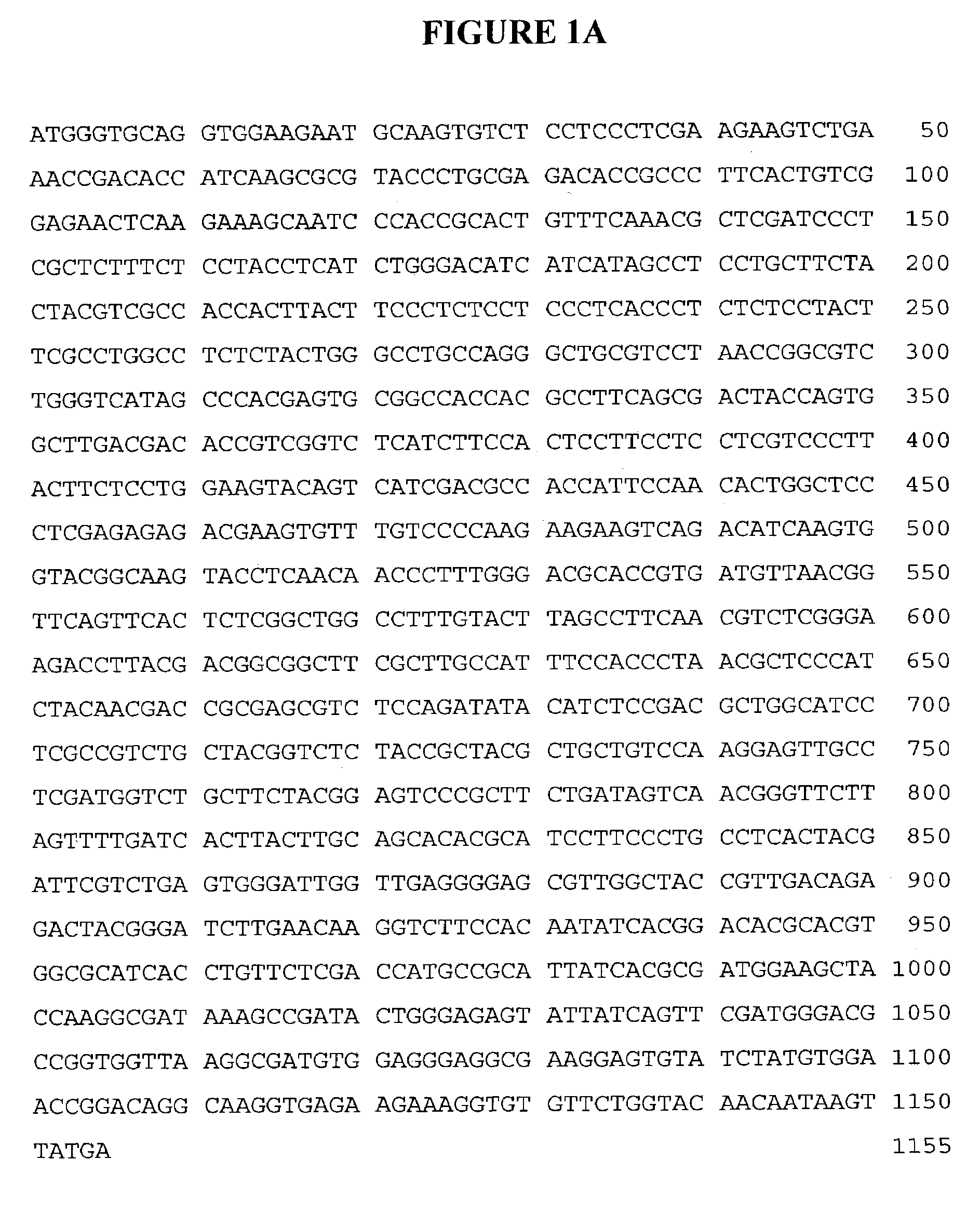 Plant FAD2 coding sequence balancing for fatty acid profiling in edible oils