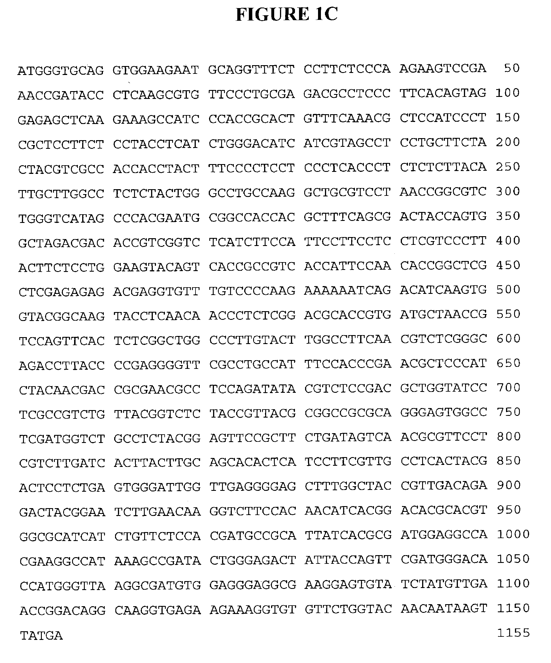 Plant FAD2 coding sequence balancing for fatty acid profiling in edible oils