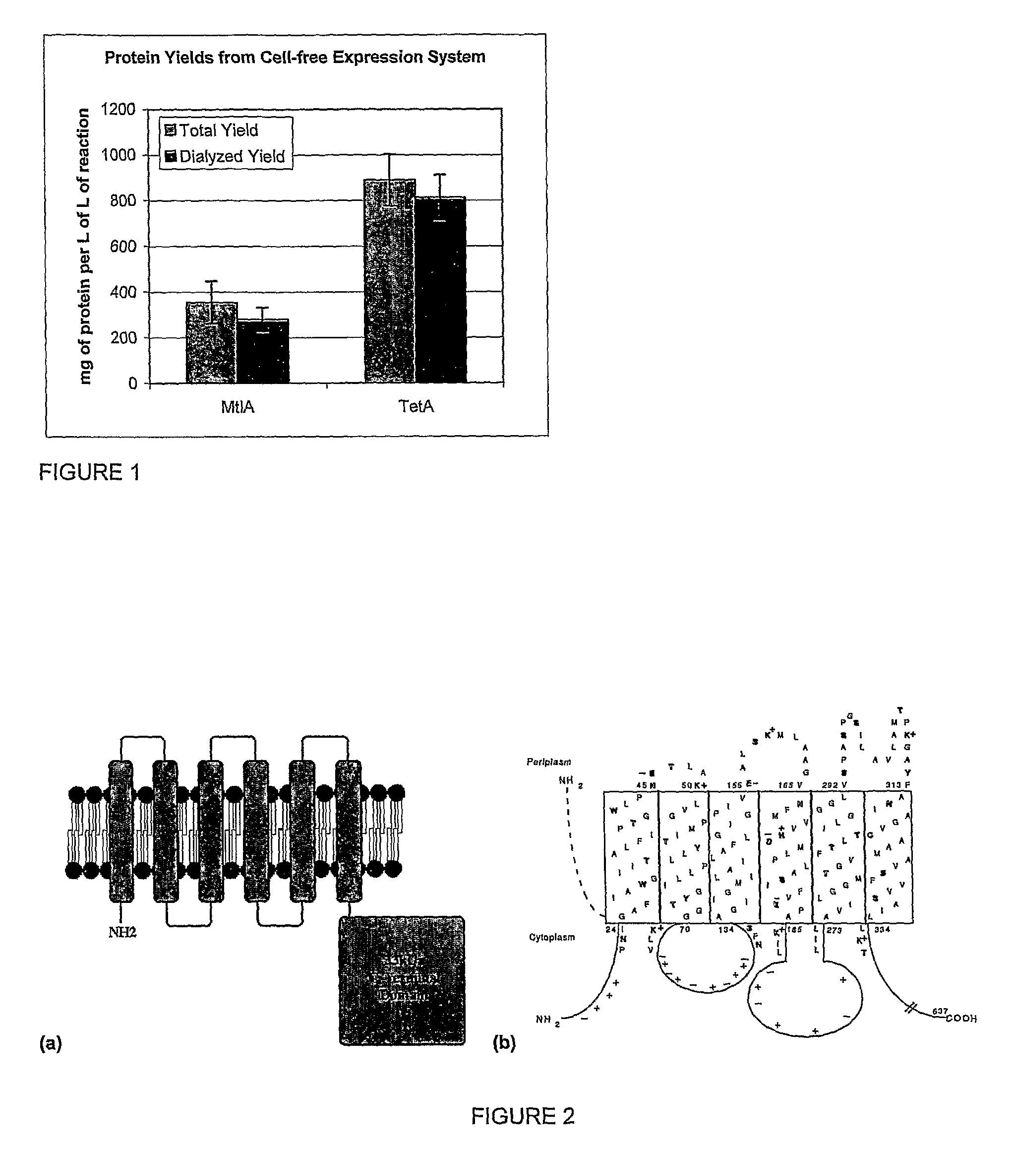 Cell-free synthesis of membrane bound polypeptides