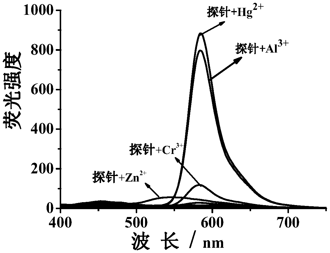 Probe, and preparation method and application thereof