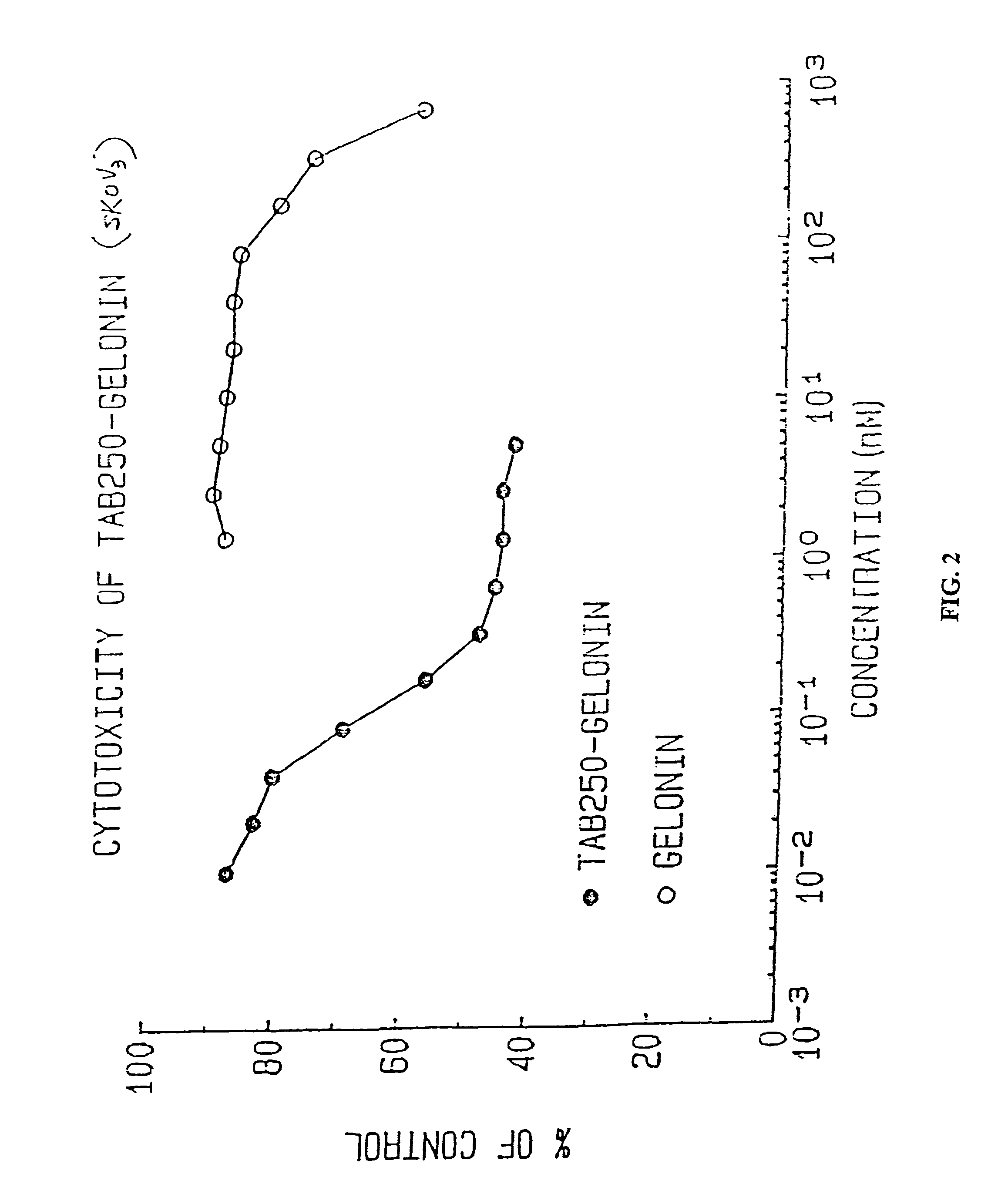 Immunotoxins directed against c-erbB-2(HER-2/neu) related surface antigens